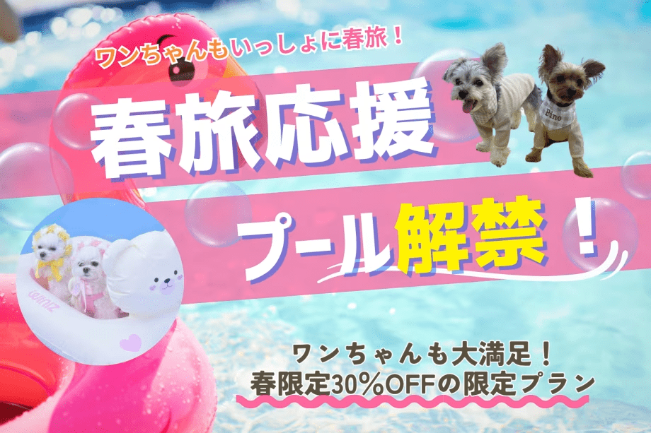 ■期間限定30％OFF！室数限定🐾愛犬とプール遊び放題♪わんちゃんプール解禁プラン｜選べる1泊2食付