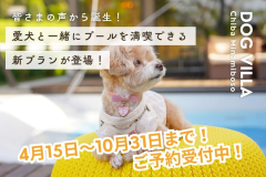 《室数限定🐾わんちゃんプール解禁プラン》4月15日~10月31日まで!水遊びが大好きなわんちゃんとプールで遊ぼう【選べる1泊2食付き】 《室数限定🐾わんちゃんプール解禁プラン》4月15日~10月31日まで!水遊びが大好きなわんちゃんとプールで遊ぼう【選べる1泊2食付き】