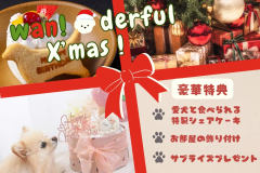 🎁🐶ワンダフルX’masプラン🐶🎁愛犬と味わうシェアケーキ&サプライズプレゼント付き《素泊まり/選べるお食事》 🎁🐶ワンダフルX’masプラン🐶🎁愛犬と味わうシェアケーキ&サプライズプレゼント付き《素泊まり/選べるお食事》