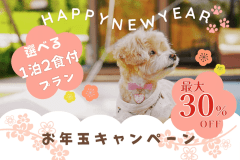 【新年期間限定】お年玉キャンペーン -最大30%OFF- ■新年最初の思い出は、ここで♪【選べる1泊2食付きプラン】