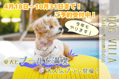 《室数限定🐾わんちゃんプール解禁プラン》4月18日～10月31日まで！水遊びが大好きなわんちゃんとプールで遊ぼう【選べる1泊2食付き】