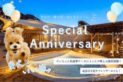 【愛犬との記念日をお祝い✨】1日1組限定！豪華食材の愛犬用オペラケーキ＆お部屋の飾り付け🐾＜選べる1泊2食付き＞