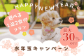 【新年期間限定】お年玉キャンペーン -最大30%OFF- ■新年最初の思い出は、ここで♪【選べる1泊2食付きプラン】
