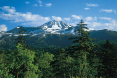 東大雪荘より4kmの望岳台より春のトムラウシ山を望む