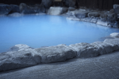 季節の料理プラン