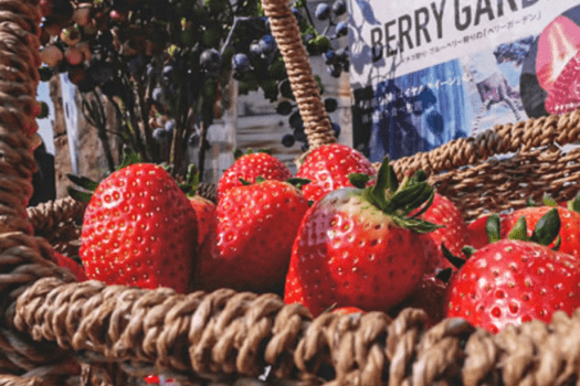 【GW限定｜先着15組限定】那須ガーデンアウトレット2,000円クーポン付き！グランピングもショッピングも楽しめる贅沢プラン〈All Inclusive 1泊2食付〉