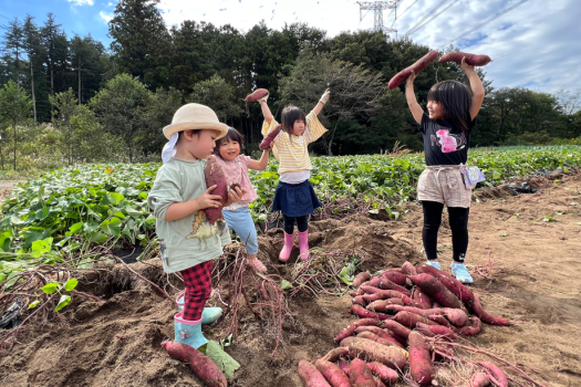 【5月13日～11月30日までのご予約】野菜の収穫体験・BBQ・焚火・空中アスレチックまるごと楽しむお得なAll Inclusiveプラン《1泊2食付き》