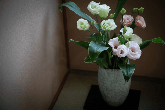 生かすことで生まれる新しい輝き