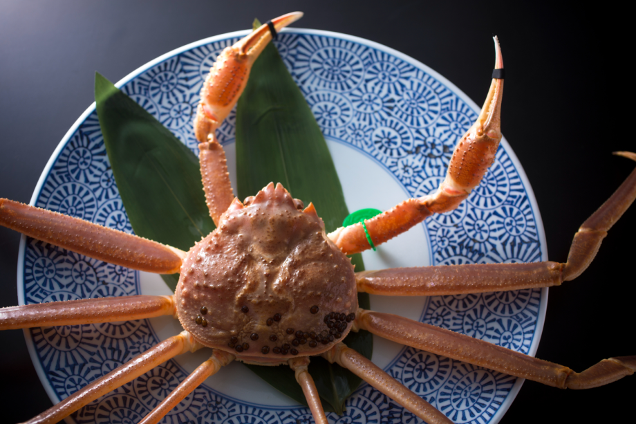 【活ガニ】冬の味覚の王様「活・松葉ガニ」はこの時期だけの贅沢な味わい！