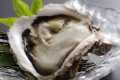 【岩牡蠣】初夏～夏限定・海のミルクと称されるミネラル豊富な「岩牡蠣」を味わう！