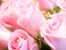 【アニバーサリー】大切な記念日をより心に残る日に♪素敵な時間を西湖の湖畔でお過ごしください～