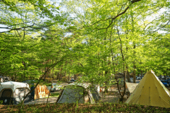 20Aの電源付きサイトです