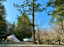 レギュラーサイト