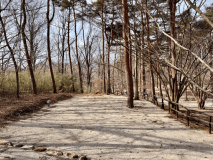 電源付きラージサイト