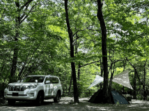 レギュラーサイト