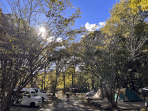 レギュラーサイト