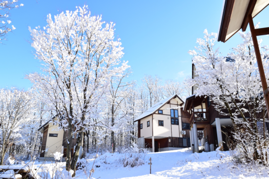 【2食付：すき焼き‐贅沢編】＜特選飛騨牛＞岐阜の最高級グルメを味わう美食時間／冬季：BBQ不可