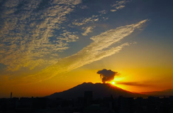 周辺案内‐城山展望台まで20分。毎年多くのお客様が行かれます。