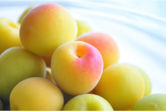 ■グランピングコテージ■2ベッドルーム・ペットOK＜Plum＞-1棟貸切コテージ-