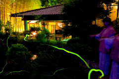 庭園で眺めるほたる