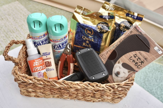 🐾ワンちゃん主役の旅応援プラン🐾無添加おやつ＆豊富な愛犬用レンタル品付きグランピング🎶【選べるお食事】