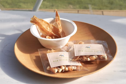 🐾ワンちゃん主役の旅応援プラン🐾無添加おやつ＆豊富な愛犬用レンタル品付きグランピング🎶【選べるお食事】