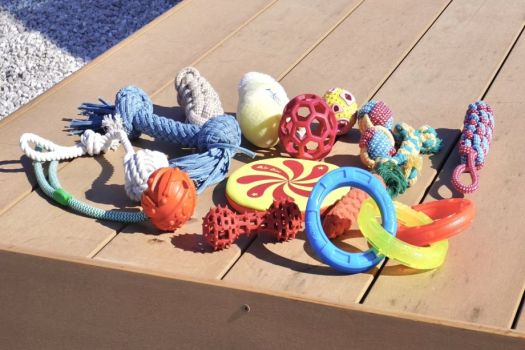 🐾ワンちゃん主役の旅応援プラン🐾無添加おやつ＆豊富な愛犬用レンタル品付きグランピング🎶【選べるお食事】