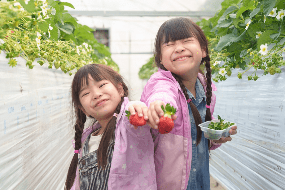 【いちご狩り／スタンダードBBQ】レッドパール食べ放題プラン（FREE DRINK付き／宿泊翌日のアクティビティ）