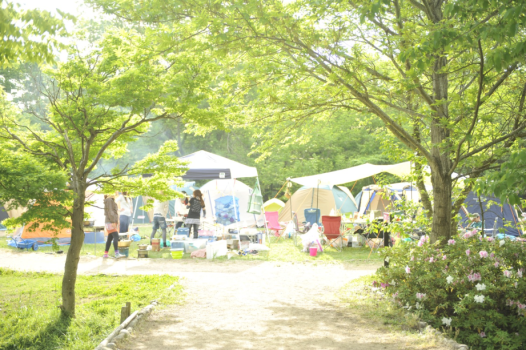 《体験型イベント》ＳＵＭＭＥＲキャンプアカデミーで安心サポート！？キャンプデビュープラン