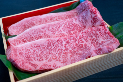 《鴨池荘》蛍火に染まる宵の宿、心づくしの一夜を。ホタル観賞プラン(１泊２食付き)