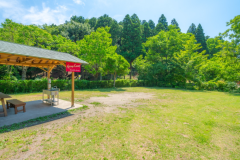 グループサイト