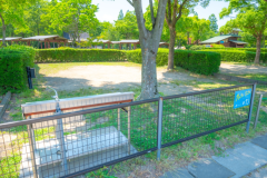 オートサイト１０～１７(植林サイト)