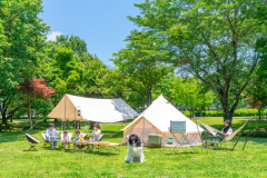 《キャンプ》フリーサイトプラン