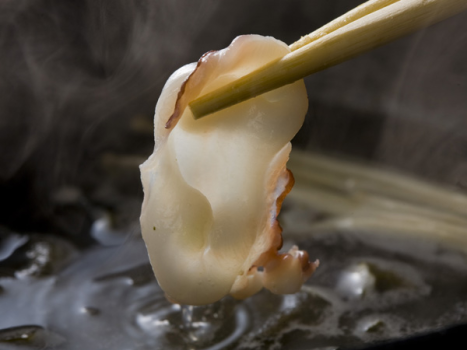 ［タコのしゃぶしゃぶ］沸騰した昆布出汁にくぐらせると、クルッと丸まる。自家製ポン酢と紅葉おろしで