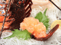 ［活け伊勢海老の姿造り］プリプリに弾ける身質は新鮮な証し