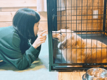 ペットコテージ 【ペットと泊まれる客室】