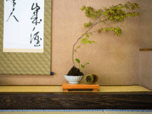 お部屋に置かれた小物もお客様をお迎え
当館では、季節を感じられる植物やお花を活けております。