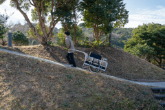 Ｍ４（ヒトリジメ）