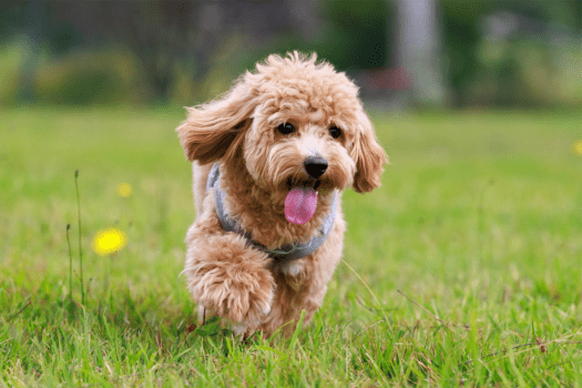 【開業3周年記念／第3弾】2泊目以降20％OFF✨1棟貸しヴィラで叶える、ゆったり快適な連泊ステイ《選べるお食事》