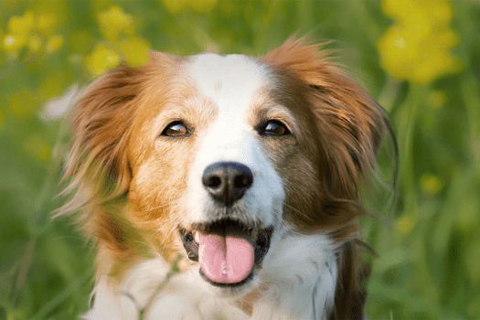 【開業3周年記念／第2弾】土日も対象✨最大20％OFF・4名以上の特定日限定のグループ割プラン《選べるお食事》