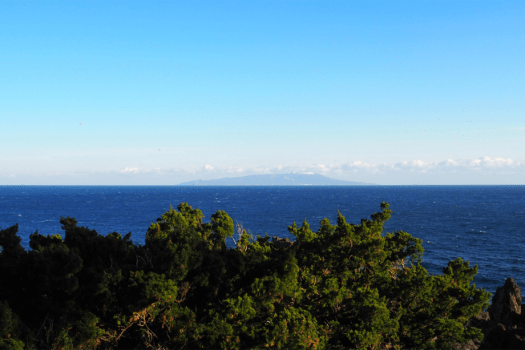 【直前割】7日前～限定割引～グランピングBBQ＋地ビール飲み放題プラン～伊豆半島の自慢のご当地食材に舌鼓。オーシャンビューの絶景ロケーションと温泉に癒される至極のご滞在～