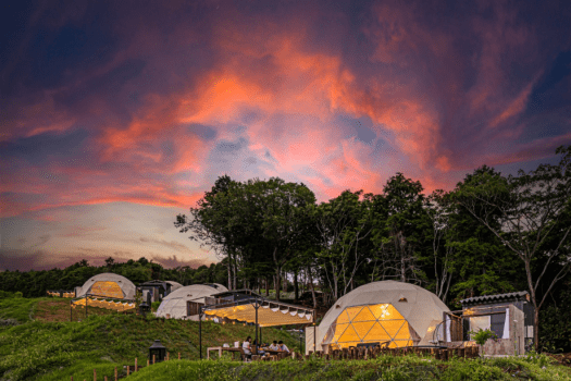 ★【期間限定10/1～12/22】🍊無料みかん狩り体験付き🍊グランピングBBQ＋地ビール飲み放題プラン～伊豆半島の自慢のご当地食材に舌鼓。オーシャンビューの絶景ロケーションと温泉に癒される至極のご滞在～