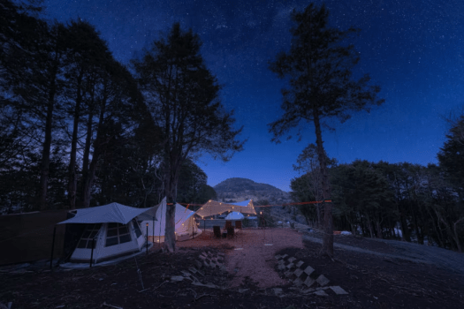 スモアの森：牛肉・魚介満載のグランピングメニュープラン