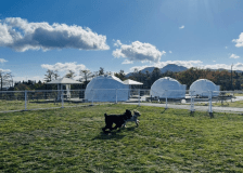 【ペット可】スタンダートドーム＜デッキ付｜専有124平米＞