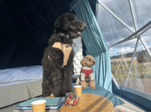 【ペット可】ジャグジードーム＜デッキ付｜専有150平米＞