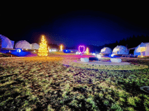 冬イルミネーション