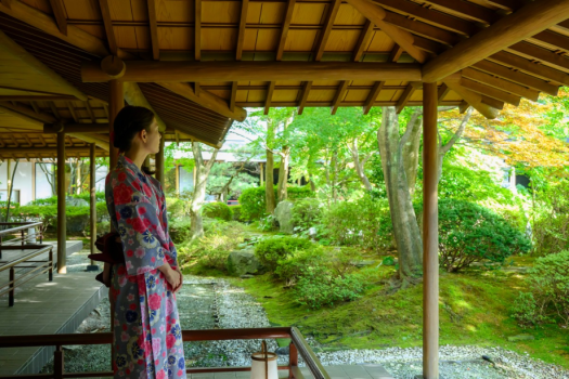 心地よい風、涼しげな池、溢れる緑をお楽しみください