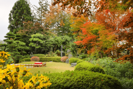 秋の庭園 秋の庭園