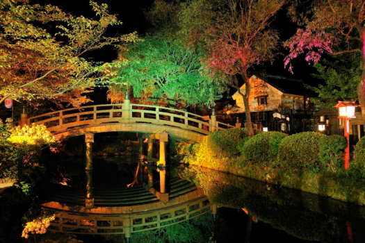 【Edo Wonder Night】美しい紅葉を背景に、夜の江戸の街並みをお楽しみください。