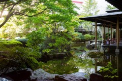 心地よい風、涼しげな池、溢れる緑をお楽しみください